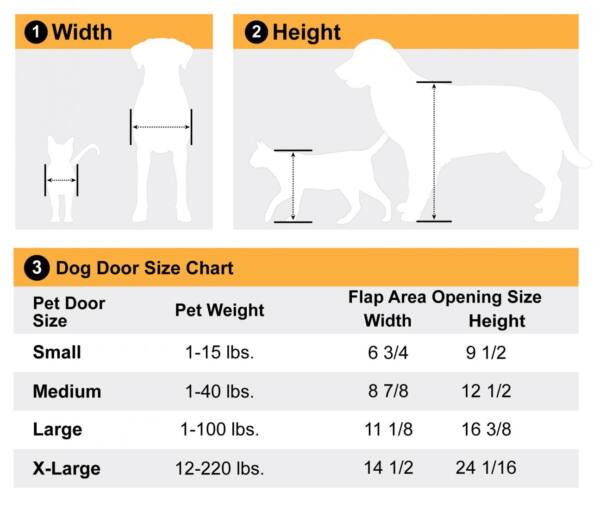 Dog Size chart