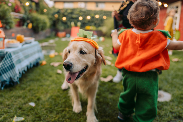 How to Include Your Pet in Halloween Festivities in 2020