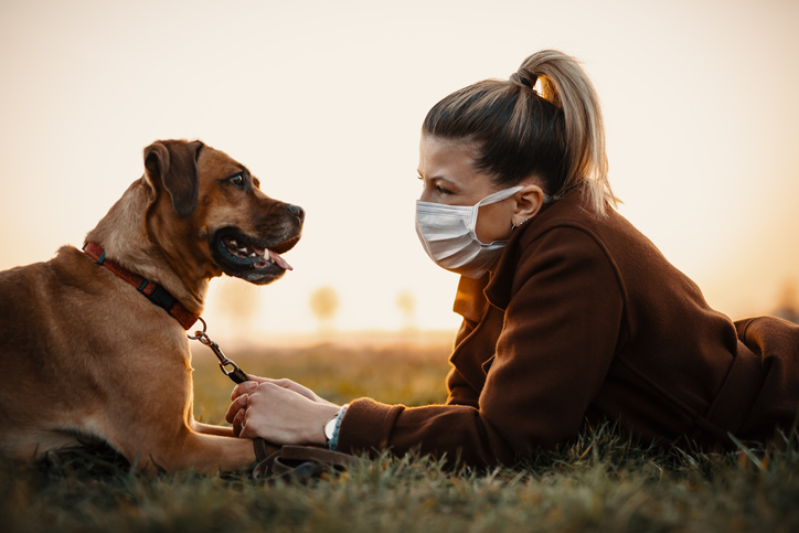 How Can I Protect My Pets if I Have COVID-19?