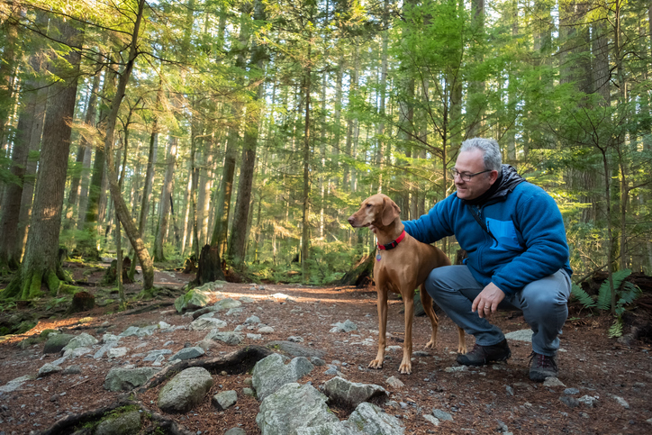 6 Activities to do with Your Dog While on a Walk