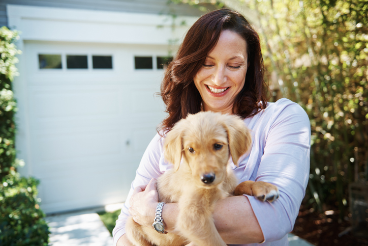 Bringing Your Dog Home from the Breeder or Adoption Center
