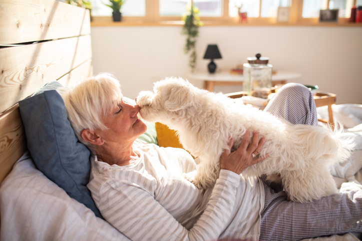 7 Best Dog Breeds for Seniors