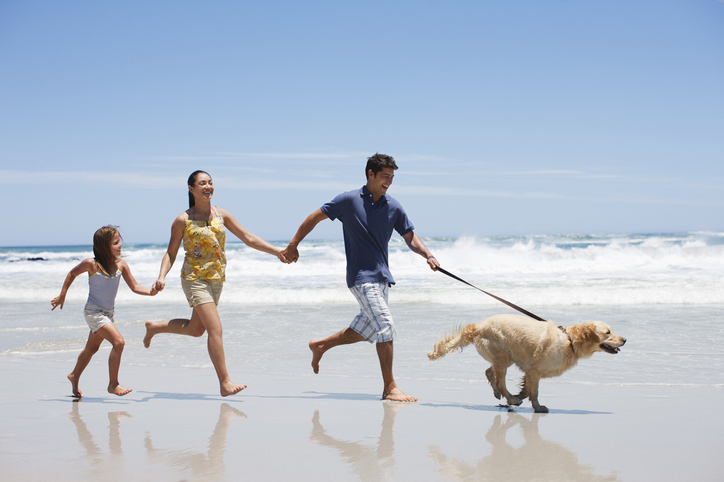10 Fun Summer Activities to Do with Your Dog