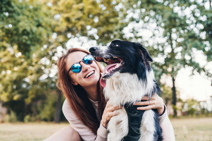 How to Plan the Perfect Day Out with Your Dog