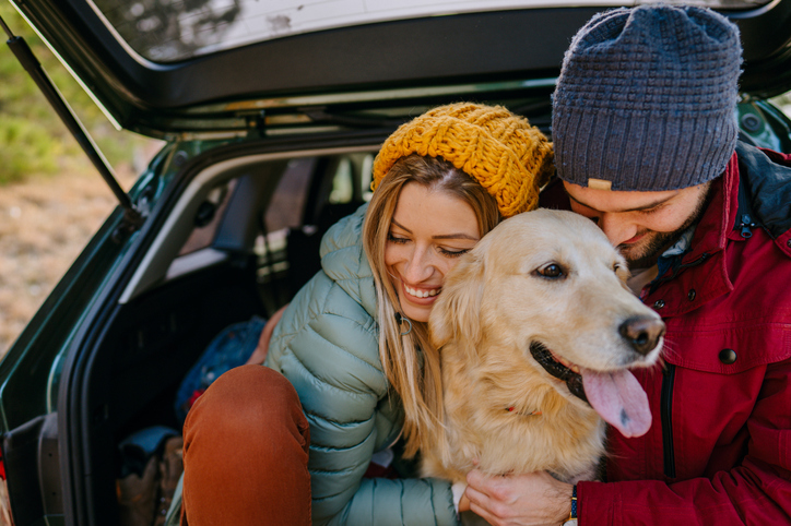 Holiday Road Travel Tips With Your Pets