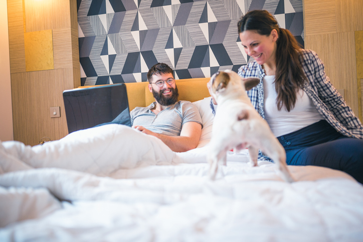 Tips for Staying at a Pet-Friendly Hotel