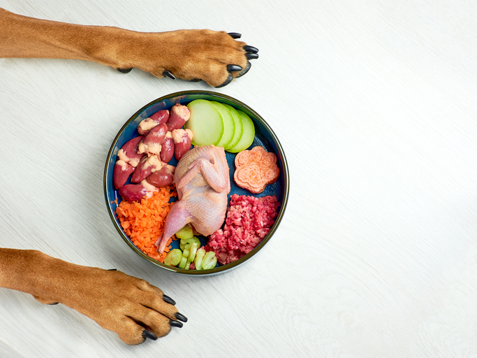 5 Healthy Foods to Add to Your Dog’s Dry Dog Food