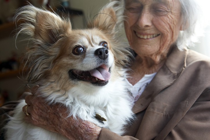 Can Owning a Dog Help You Live Longer?