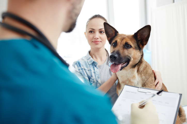 How to Find the Right Pet Insurance for You