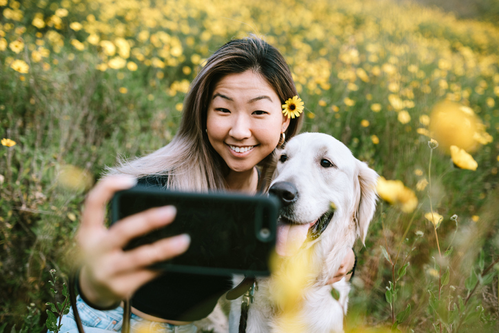 How to Take Better Photos of Your Dog