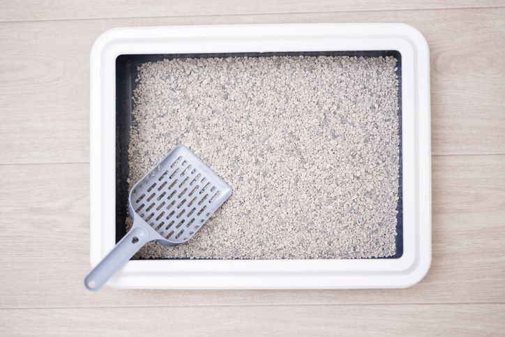 Purr-fect Practices: How Often Should You Fully Change the Cat Litter?