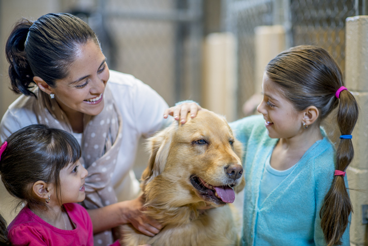 Exploring the Cost of Pet Adoption from Animal Shelters