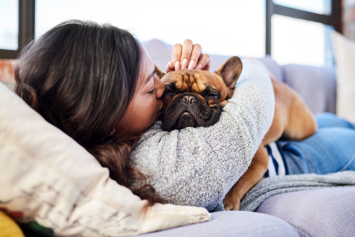 Which Dog Breeds Like to Cuddle the Most? Unveiling the Snuggle Champions