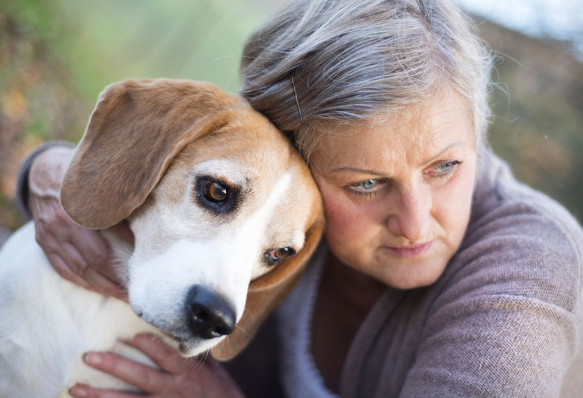 Pet Therapy: A Source of Comfort and Joy for the Elderly